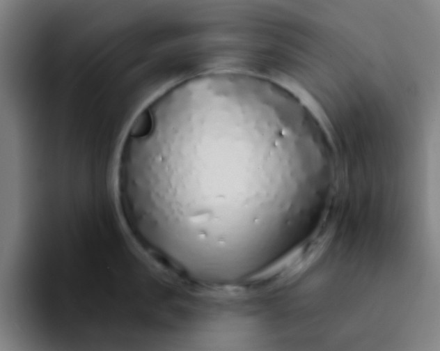X0000094330957200711161947