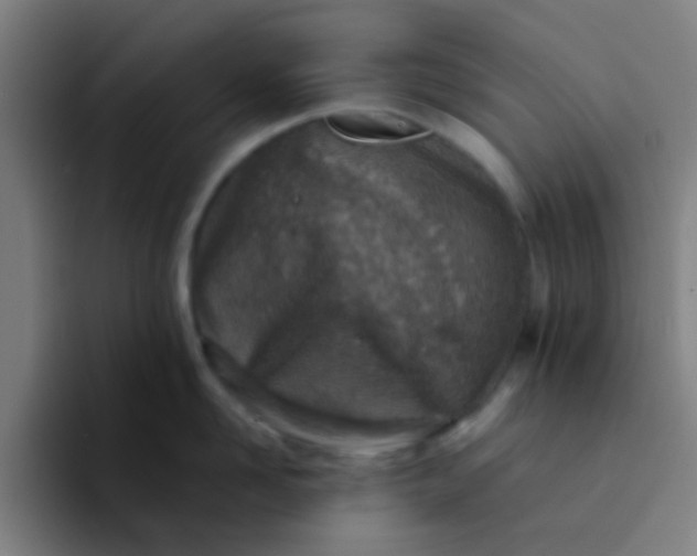 X0000094330958200711161947