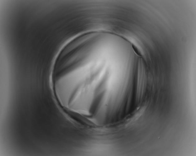 X0000094330959200711161947