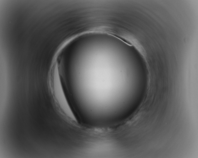 X0000094330960200711161947