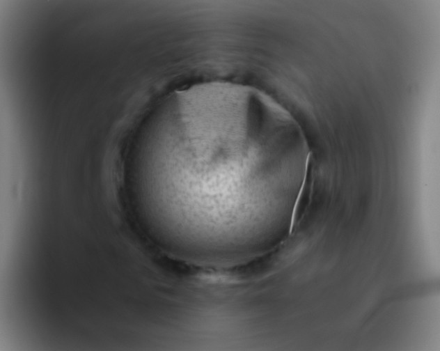 X0000094330961200711161946