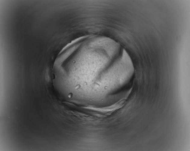 X0000094330962200711161946