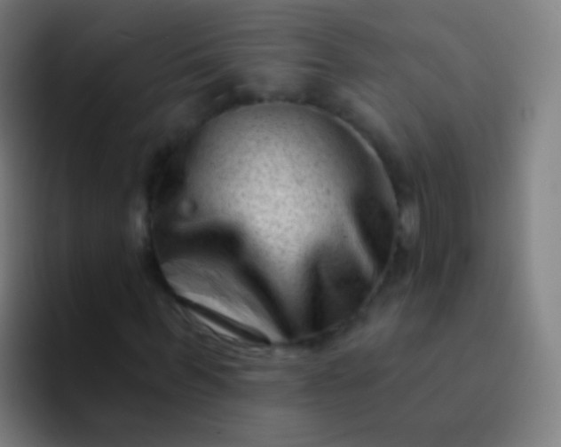 X0000094330963200711161946