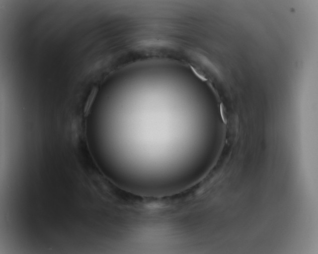 X0000094330965200711161946