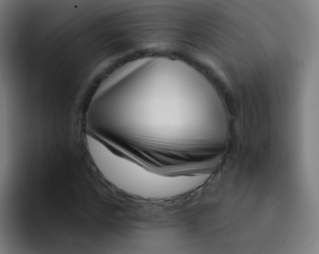 X0000094330968200711161946