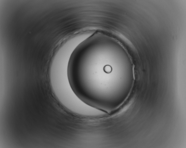 X0000094330969200711161946
