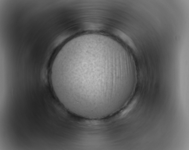 X0000094330970200711161946