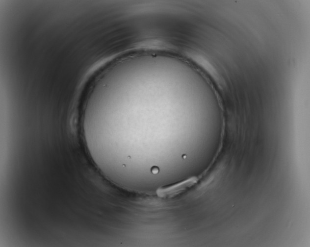 X0000094330971200711161946