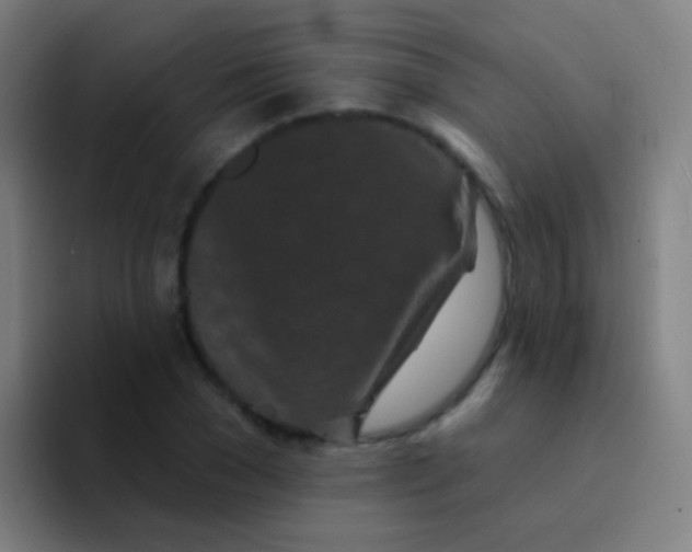X0000094330977200711161946