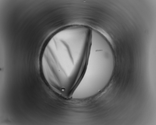 X0000094330980200711161946