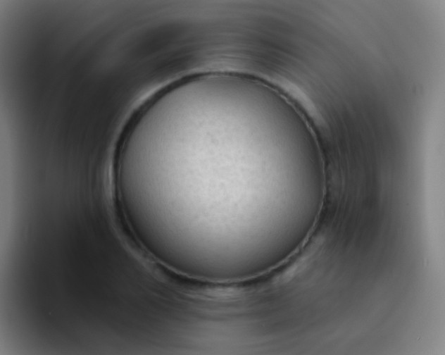 X0000094330982200711161946