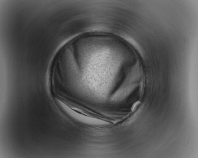 X0000094330983200711161946