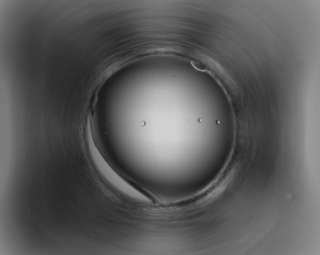 X0000094330985200711161946
