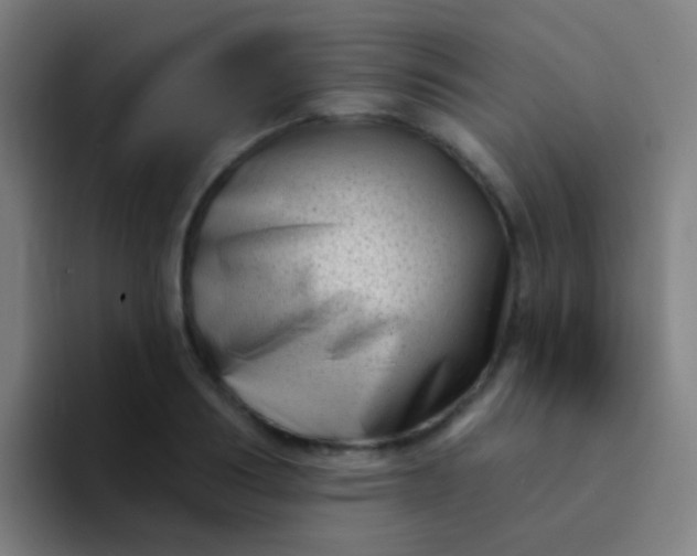 X0000094330986200711161946