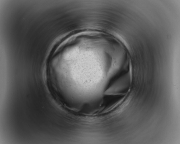 X0000094330987200711161946