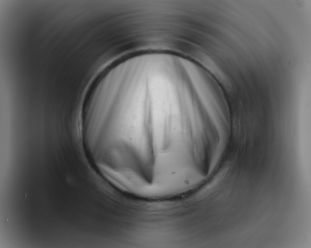 X0000094330988200711161946