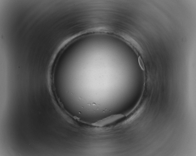 X0000094330989200711161946