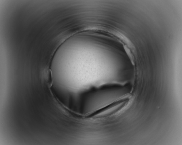 X0000094330993200711161946