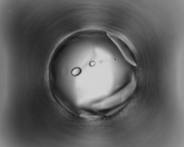 X0000094330996200711161946