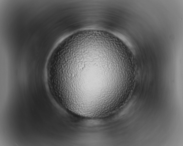 X0000094330998200711161946