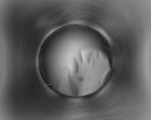 X0000094330999200711161946