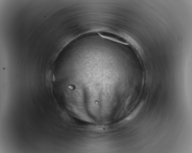 X0000094331001200711161946