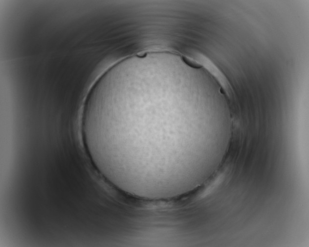 X0000094331002200711161946