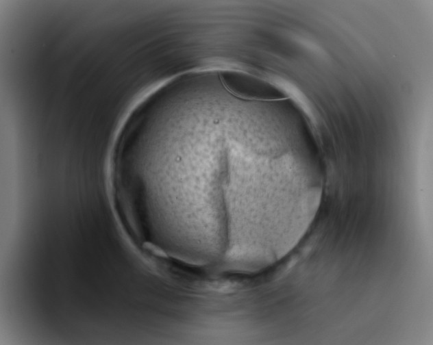 X0000094331003200711161946