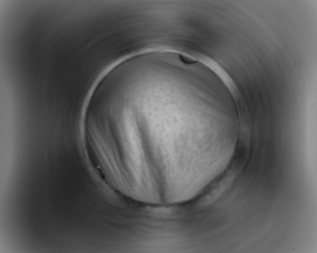 X0000094331004200711161946