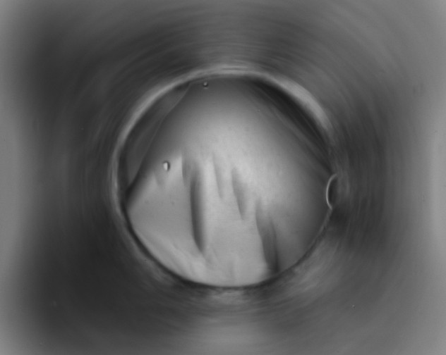 X0000094331006200711161946