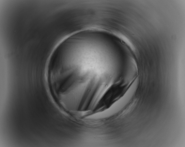 X0000094331007200711161946