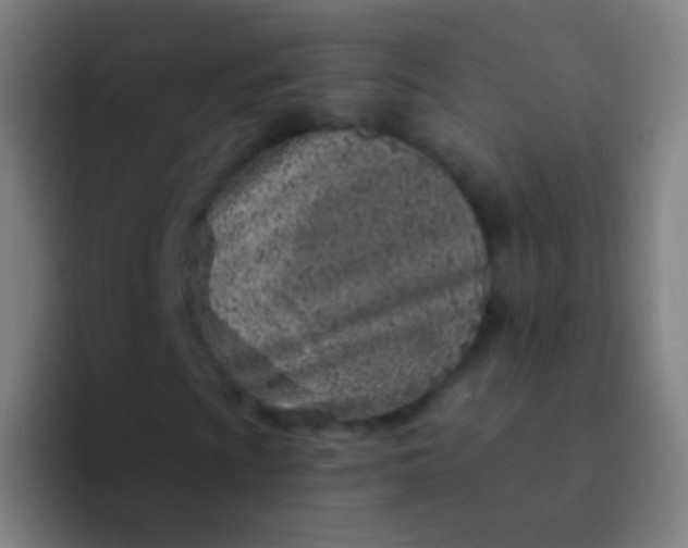 X0000094331009200711161945