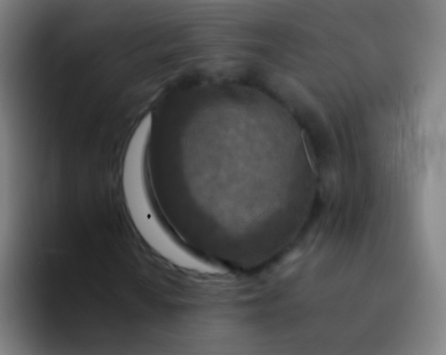 X0000094331010200711161945