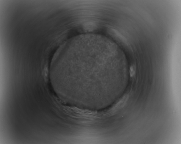 X0000094331011200711161945