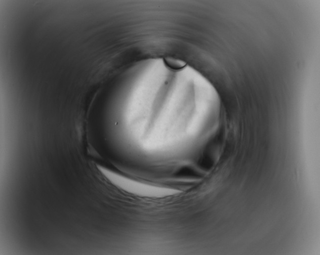 X0000094331012200711161945