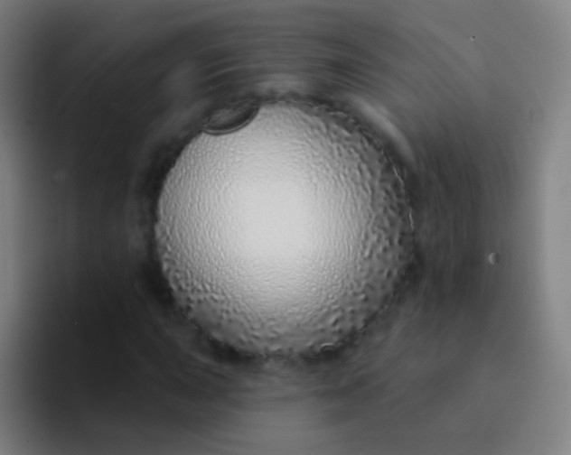 X0000094331015200711161945