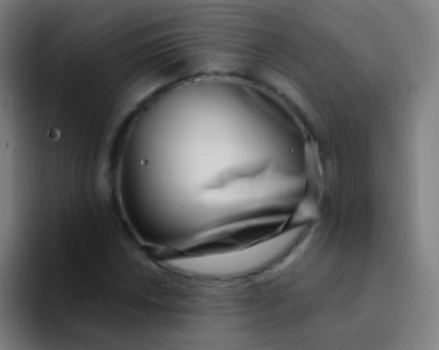 X0000094331018200711161945