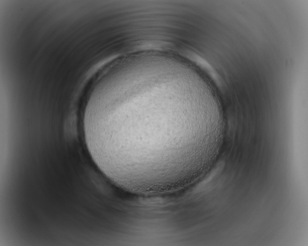 X0000094331019200711161945