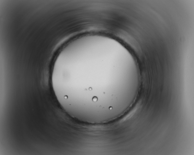 X0000094331021200711161945