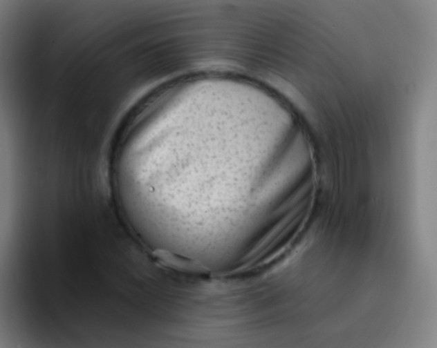 X0000094331022200711161945