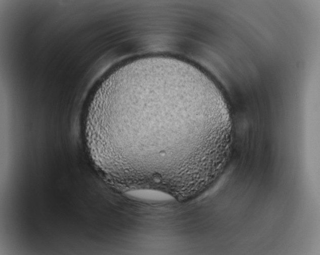 X0000094331023200711161945