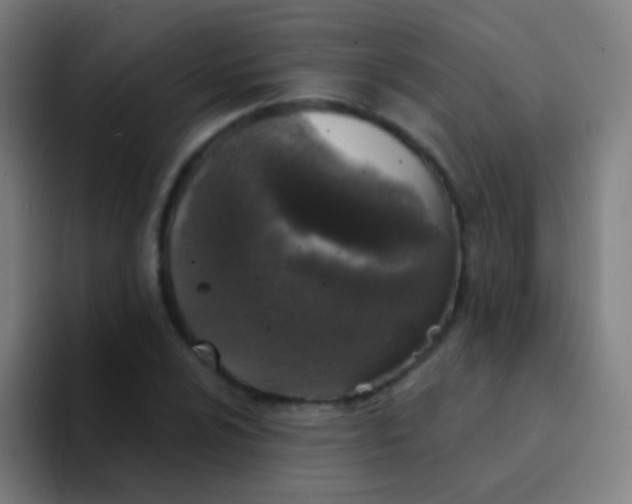 X0000094331024200711161945