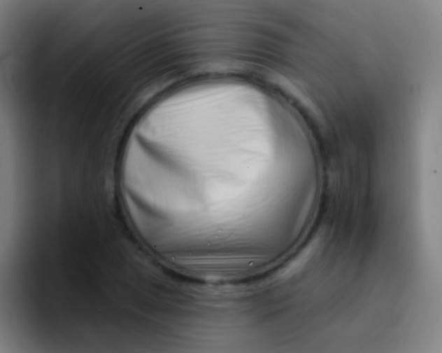 X0000094331025200711161945