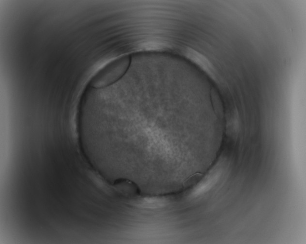 X0000094331026200711161945