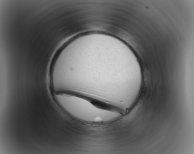 X0000094331028200711161945