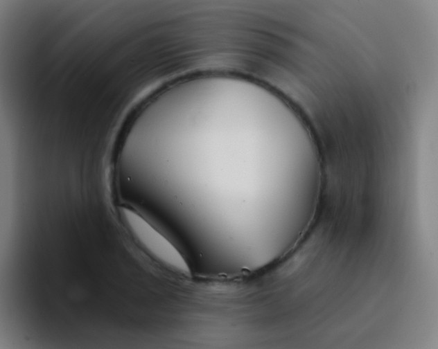X0000094331029200711161945
