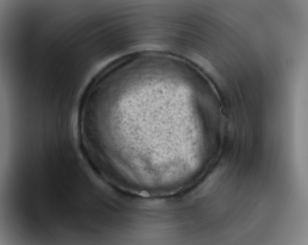 X0000094331030200711161945