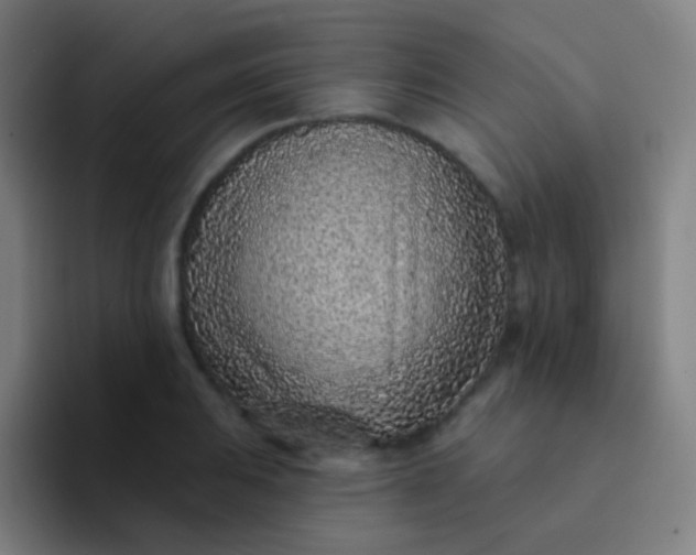 X0000094331031200711161945