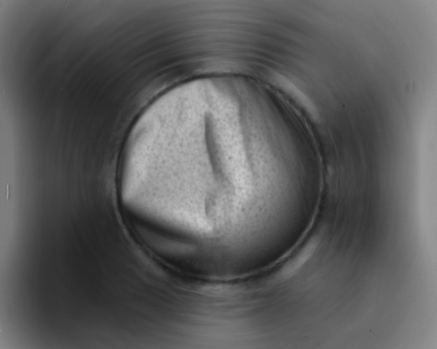 X0000094331033200711161946