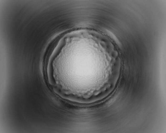X0000094331035200711161946